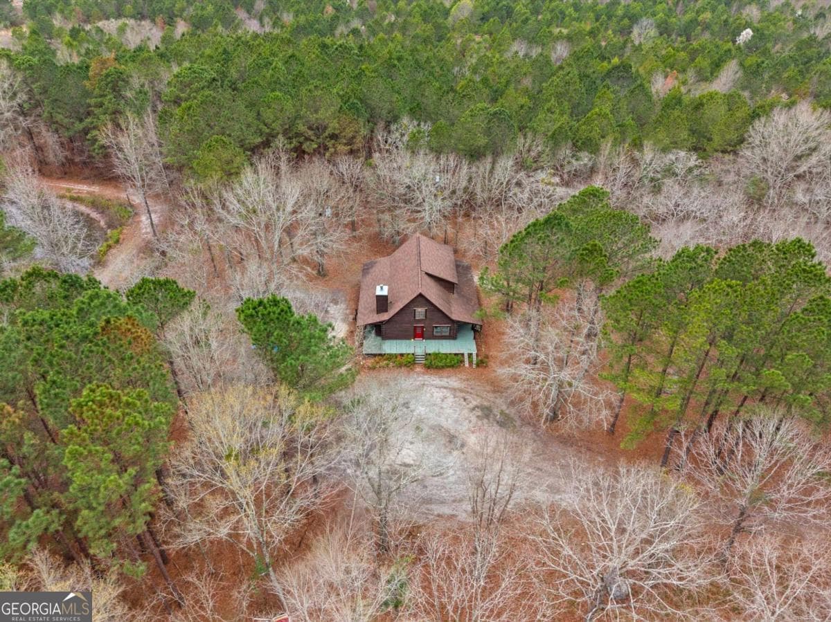 3 bedroom, 2 bathroom, 1,814 sq ft cabin,farm for sale at 250 Lee Paul Road, Hawkinsville, GA 31036 — photo 6