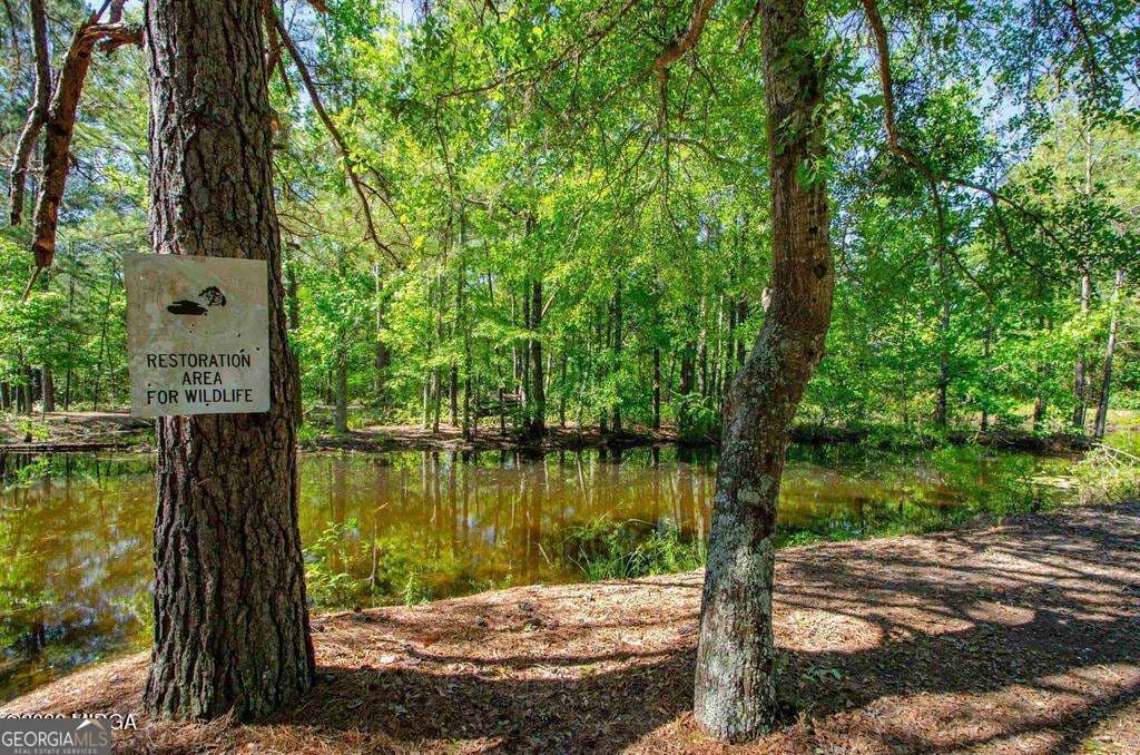 3 bedroom, 2 bathroom, 1,814 sq ft cabin,farm for sale at 250 Lee Paul Road, Hawkinsville, GA 31036 — photo 7