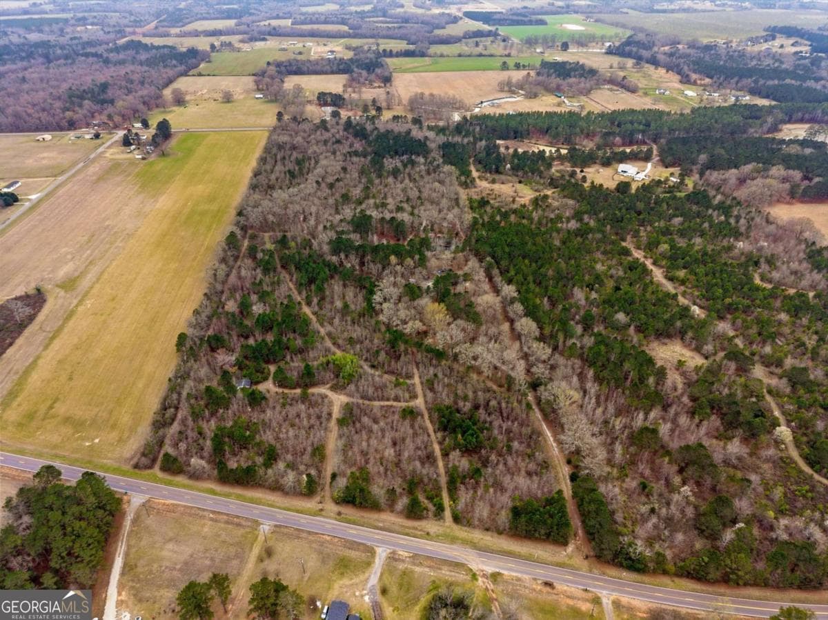 3 bedroom, 2 bathroom, 1,814 sq ft cabin,farm for sale at 250 Lee Paul Road, Hawkinsville, GA 31036 — photo 9