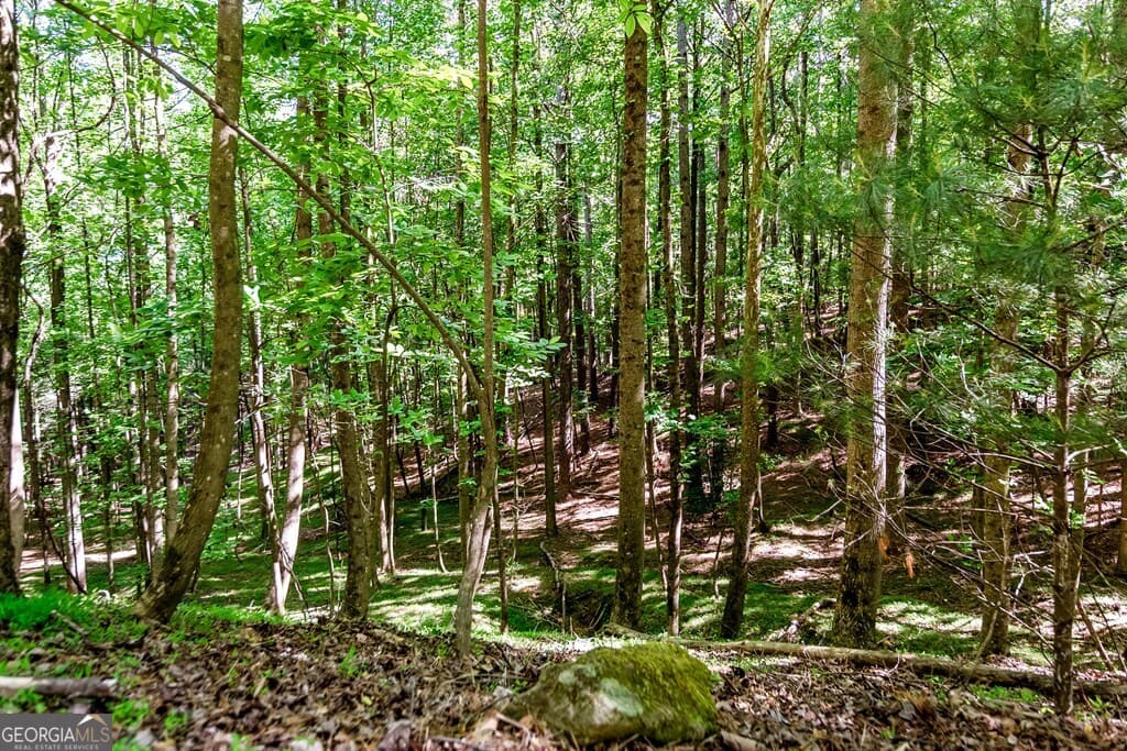 residential lot for sale at LOT 26 Estates Drive, Ellijay, GA 30540 — photo 6