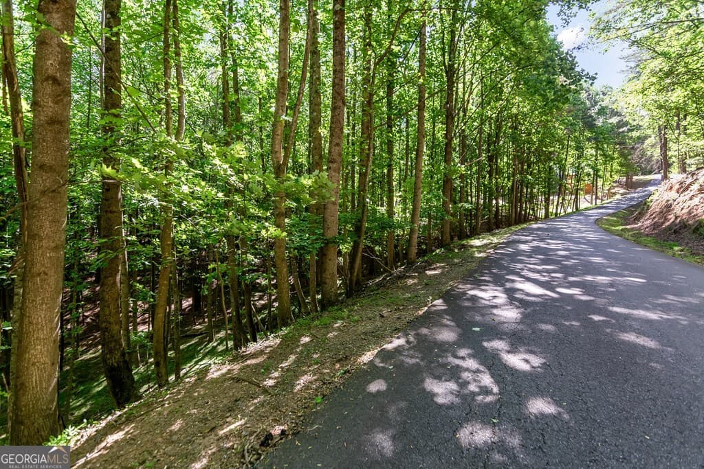 residential lot for sale at LOT 26 Estates Drive, Ellijay, GA 30540 — photo 7