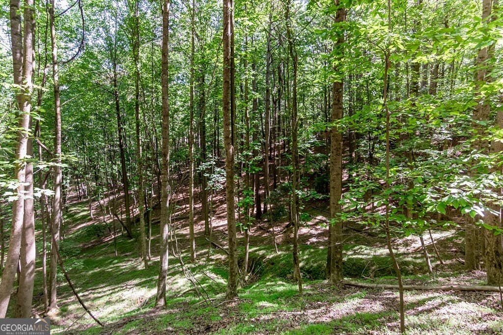 residential lot for sale at LOT 26 Estates Drive, Ellijay, GA 30540 — photo 5