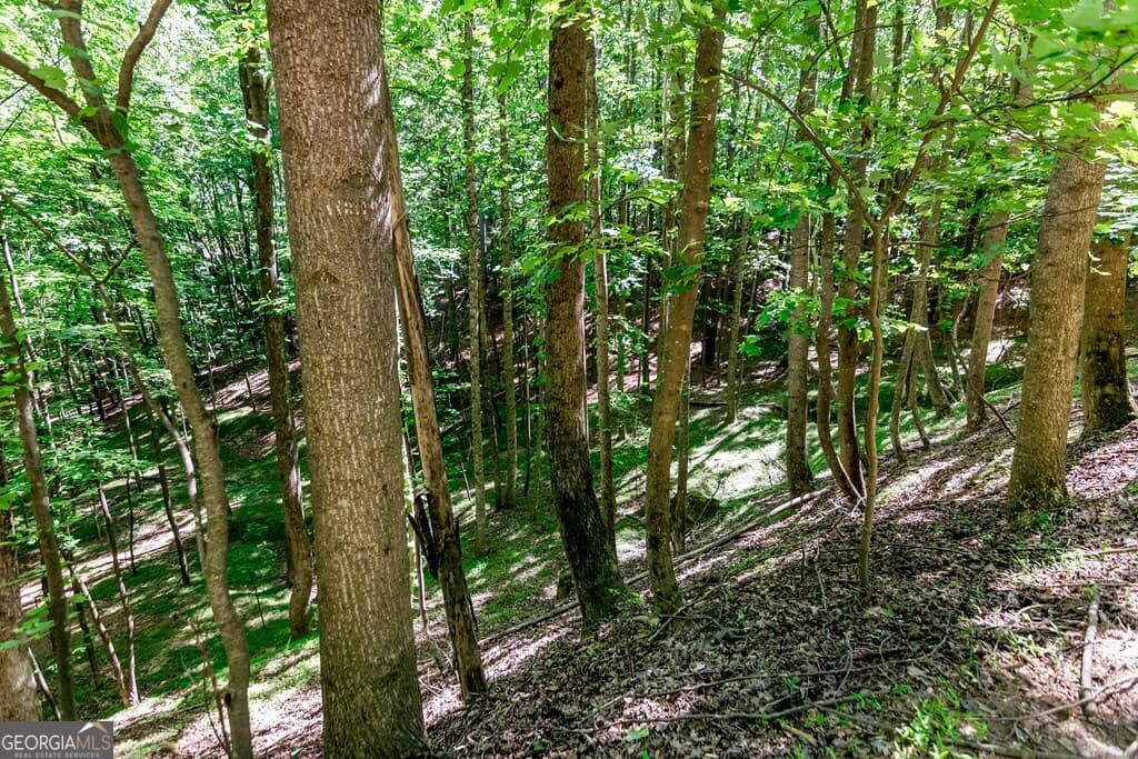 residential lot for sale at LOT 26 Estates Drive, Ellijay, GA 30540 — photo 9