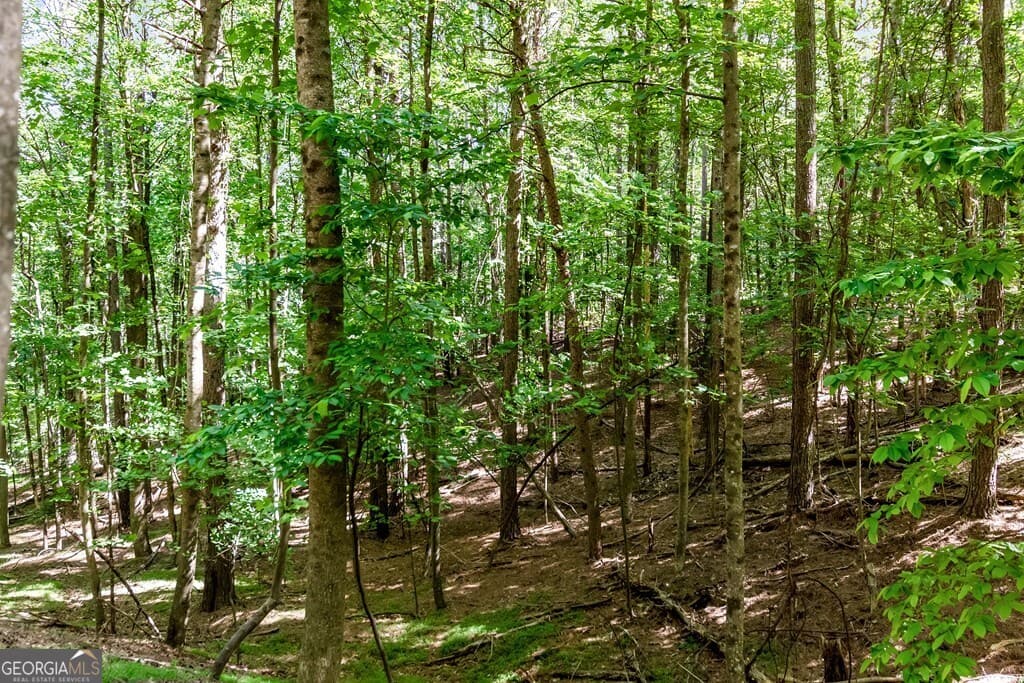 residential lot for sale at LOT 26 Estates Drive, Ellijay, GA 30540 — photo 10