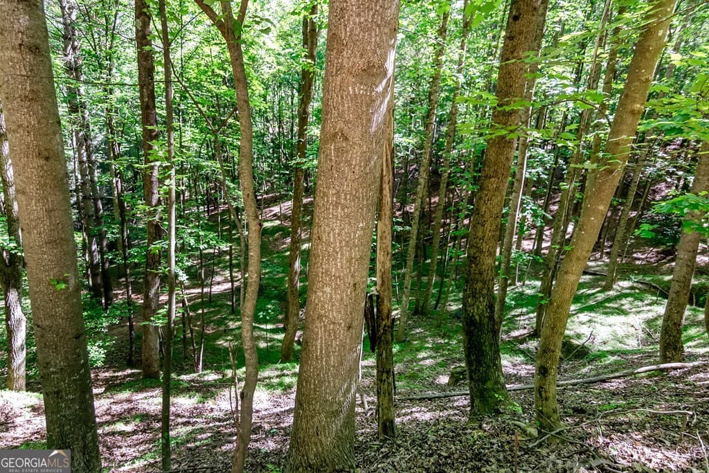 residential lot for sale at LOT 26 Estates Drive, Ellijay, GA 30540 — photo 4