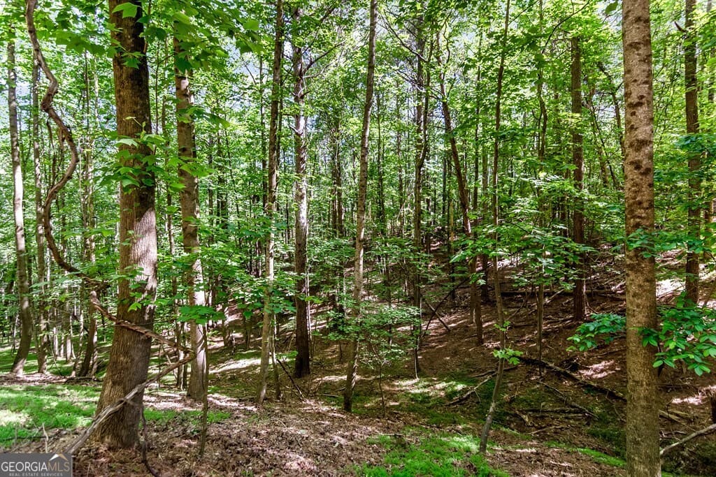 residential lot for sale at LOT 26 Estates Drive, Ellijay, GA 30540 — photo 8