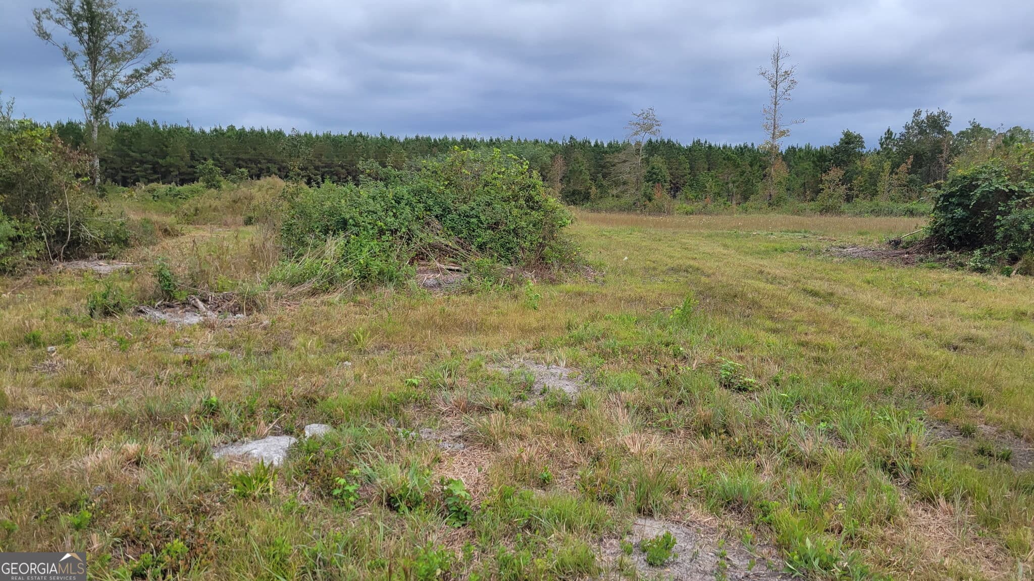 agriculture for sale at 88 Rogers Break Road, Jesup, GA 31546 — photo 2