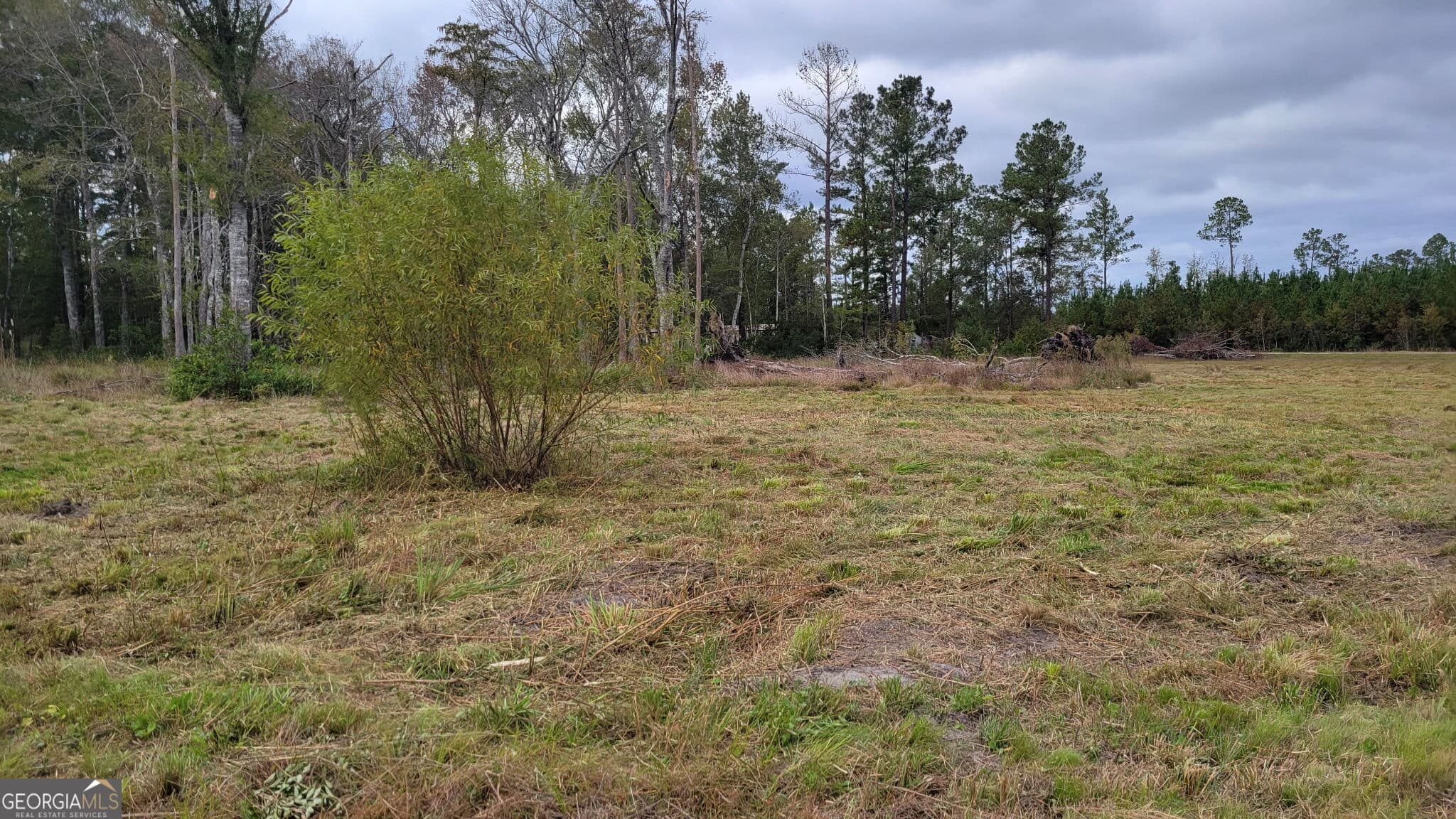 agriculture for sale at 88 Rogers Break Road, Jesup, GA 31546 — photo 6