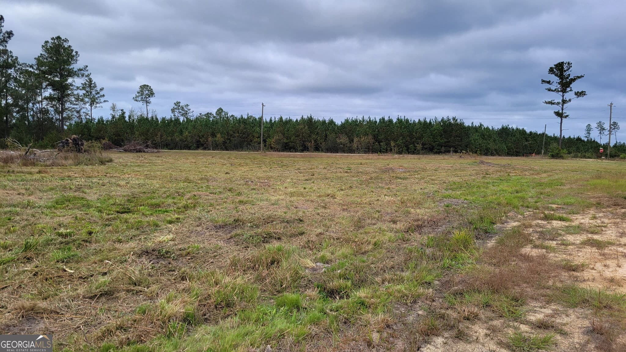 agriculture for sale at 88 Rogers Break Road, Jesup, GA 31546 — photo 7