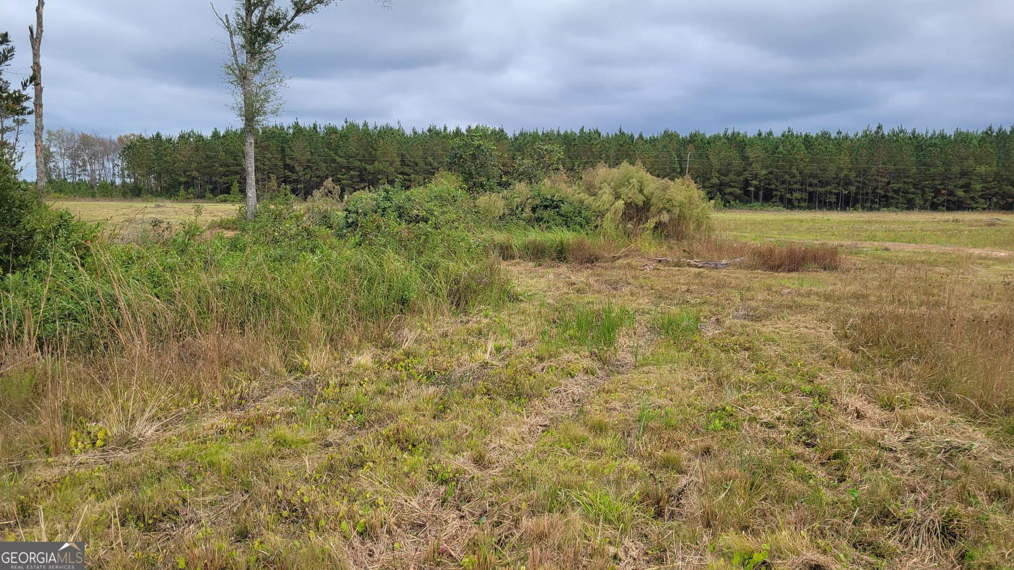agriculture for sale at 88 Rogers Break Road, Jesup, GA 31546 — photo 3