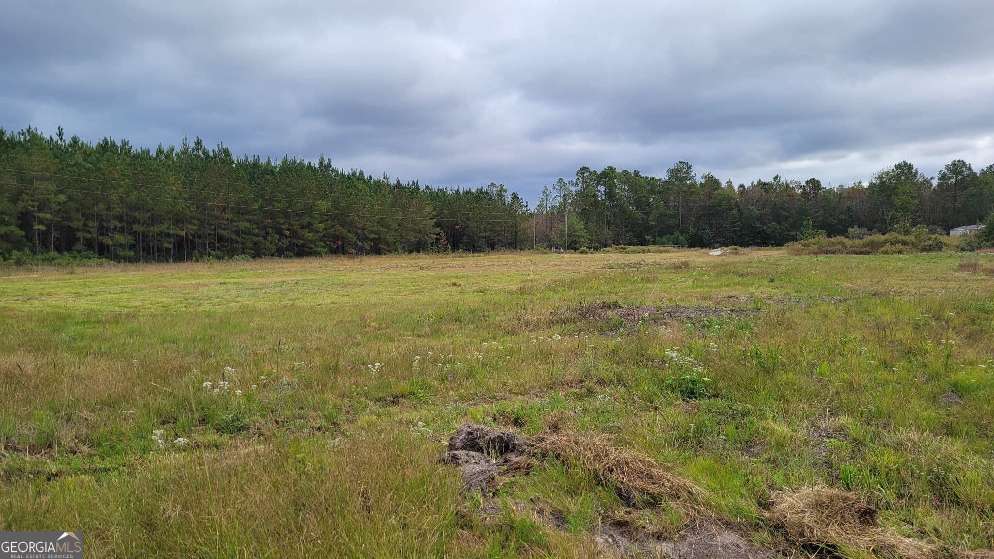 agriculture for sale at 88 Rogers Break Road, Jesup, GA 31546 — photo 1 of 18
