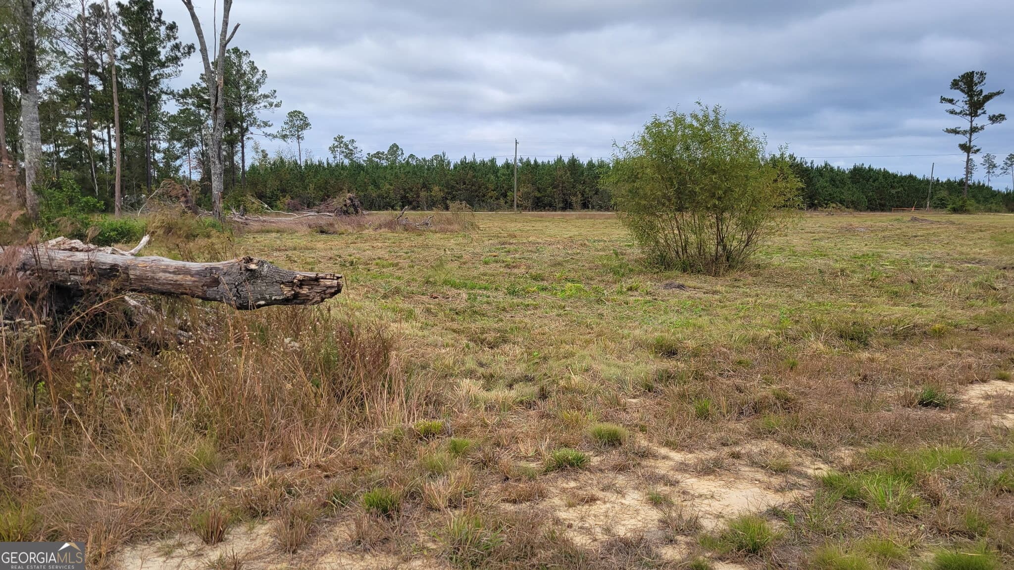 agriculture for sale at 88 Rogers Break Road, Jesup, GA 31546 — photo 5