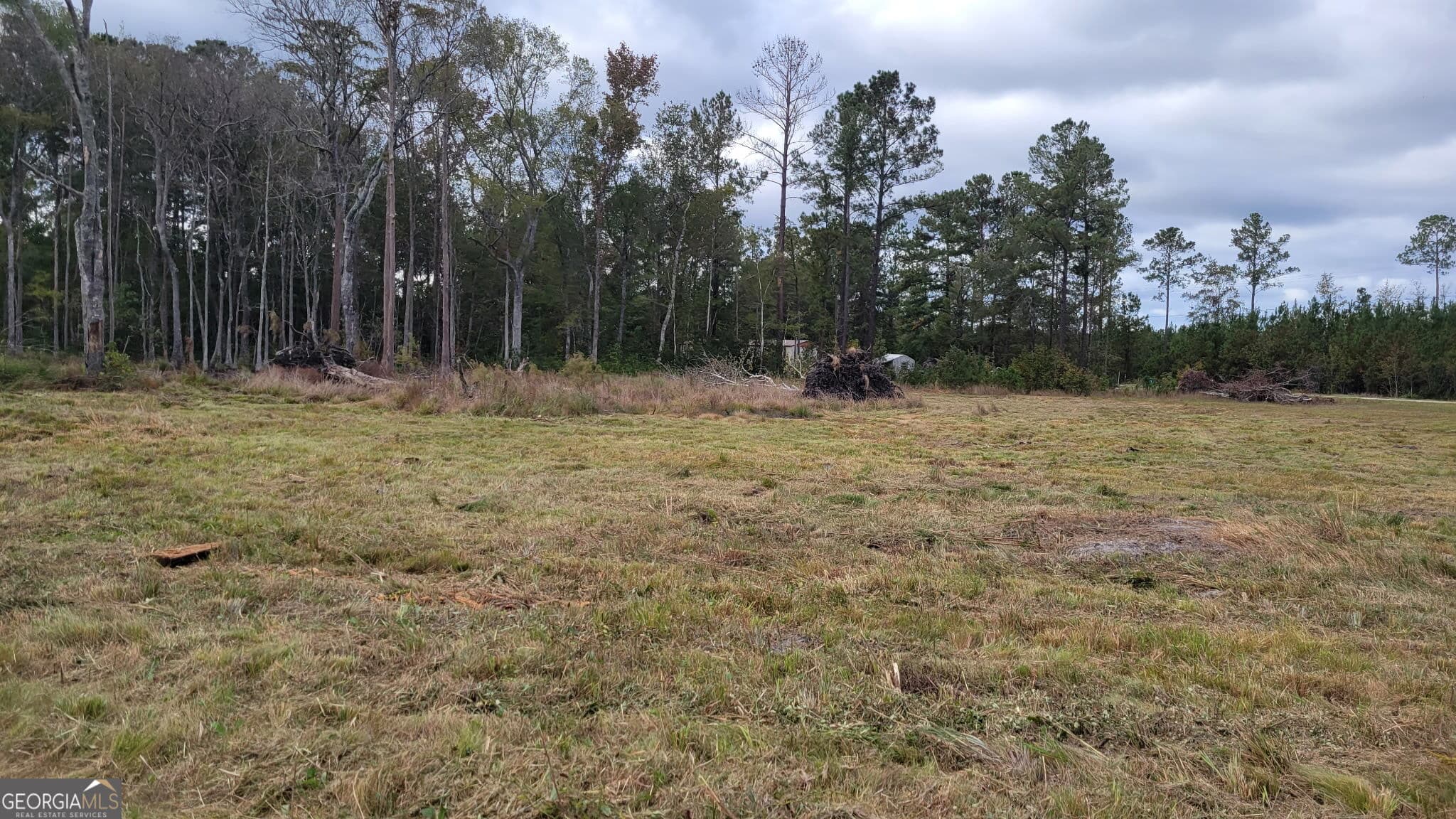 agriculture for sale at 88 Rogers Break Road, Jesup, GA 31546 — photo 9
