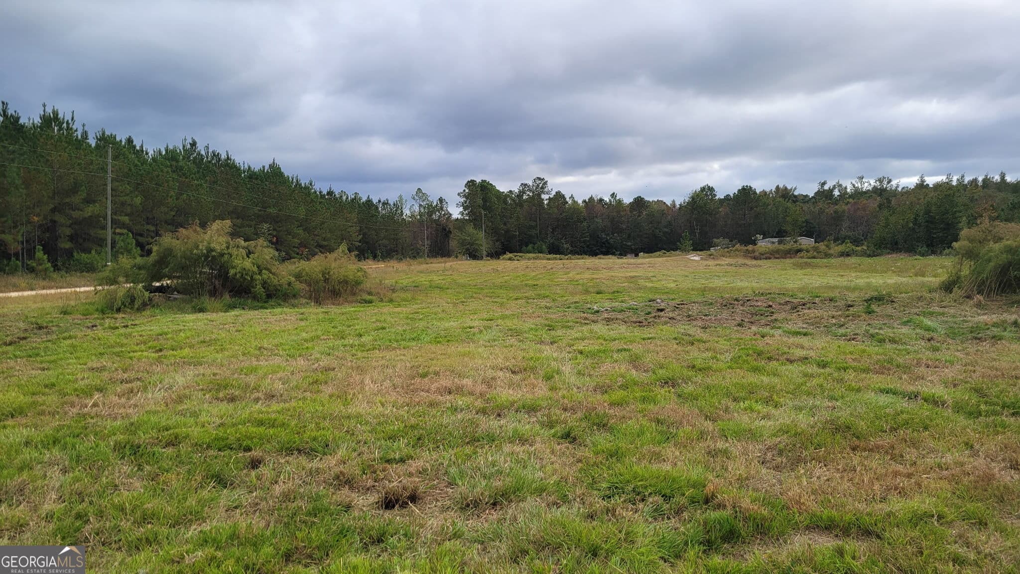 agriculture for sale at 88 Rogers Break Road, Jesup, GA 31546 — photo 10