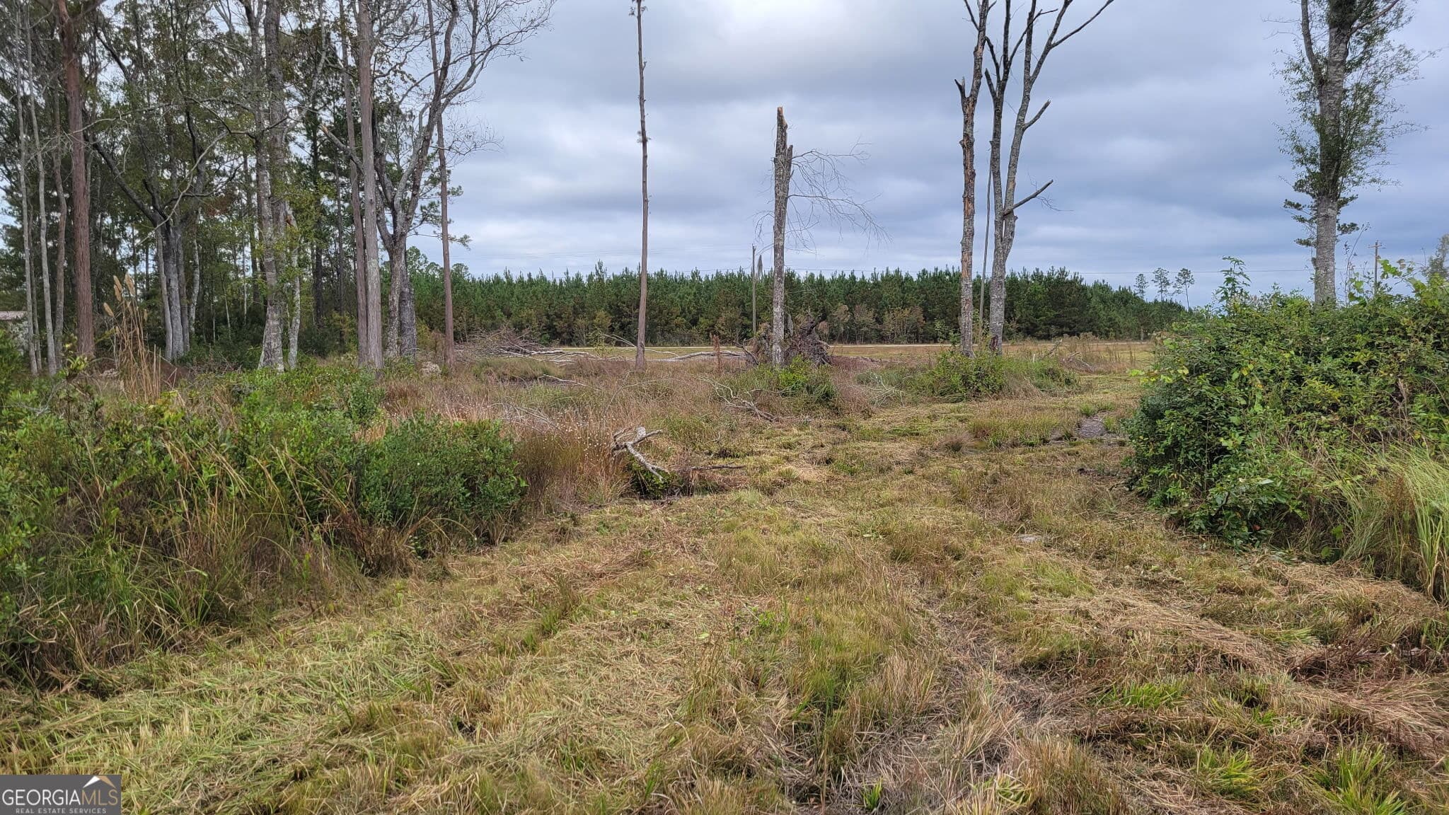 agriculture for sale at 88 Rogers Break Road, Jesup, GA 31546 — photo 4