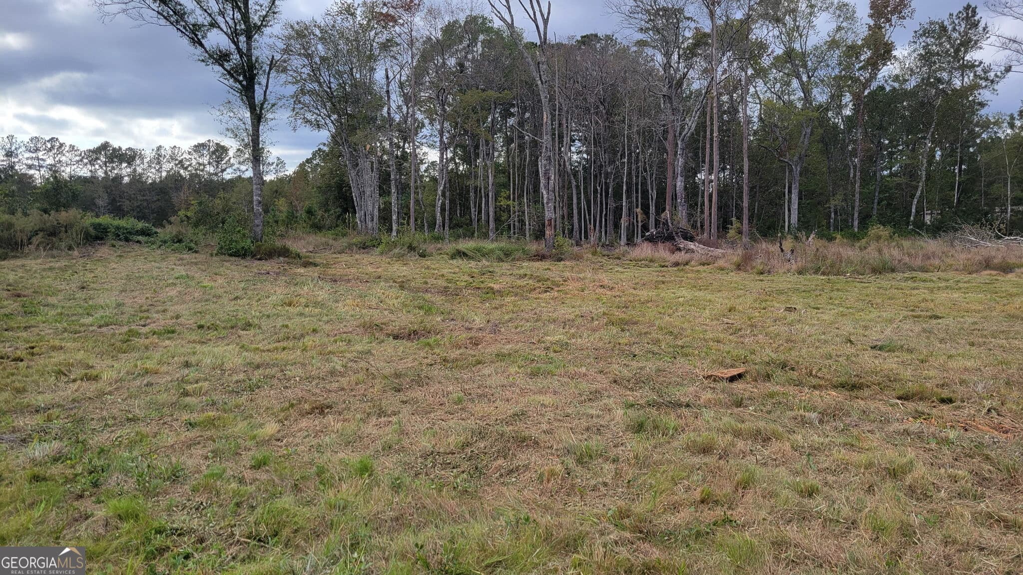 agriculture for sale at 88 Rogers Break Road, Jesup, GA 31546 — photo 8