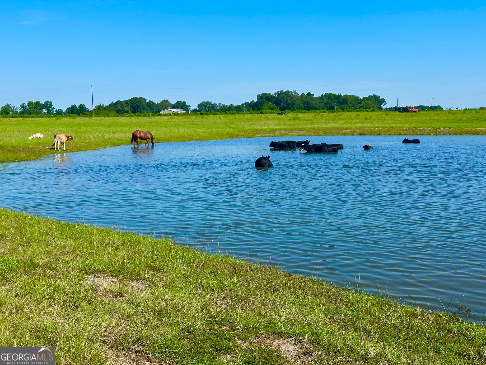 agriculture sold at 9743 Lynntown Road, Collins, GA 30421