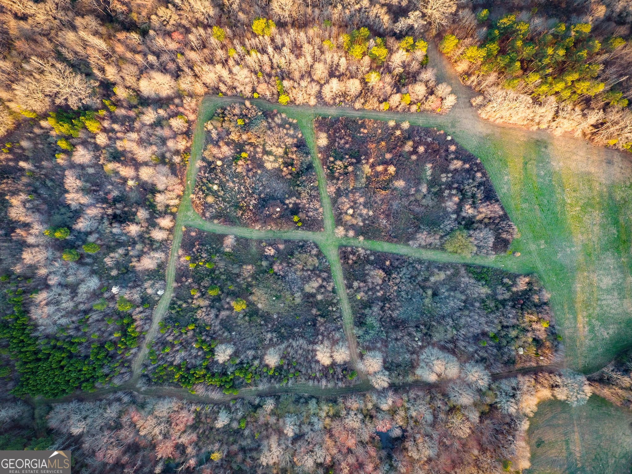 agriculture for sale at 1304 Broad Street, Tallapoosa, GA 30176 — photo 10