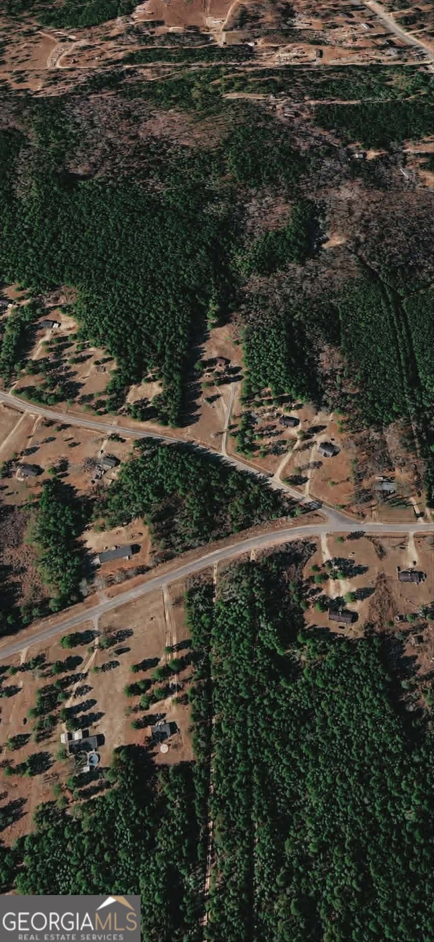 residential lot for sale at LOT 48 Pope Road, Roberta, GA 31078 — photo 2