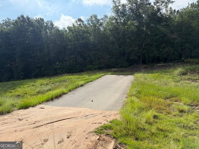 unimproved land for sale at 0 N Us Highway 1, Matthews, GA 30818 — photo 2