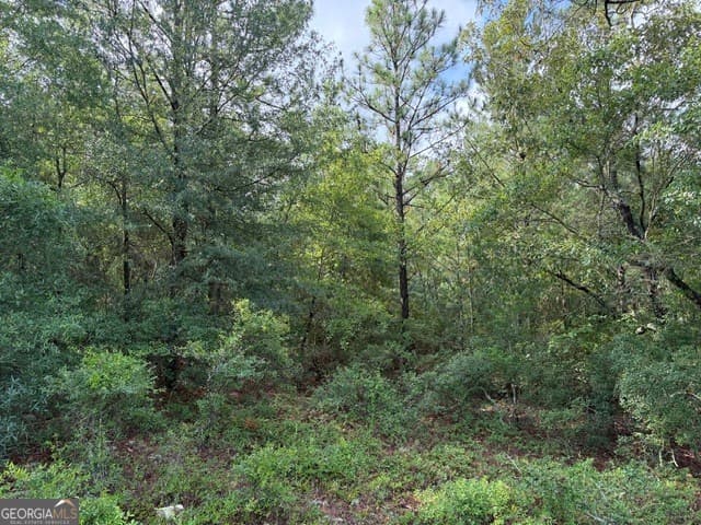 unimproved land for sale at 0 N Us Highway 1, Matthews, GA 30818 — photo 6