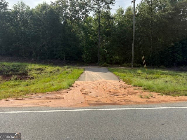unimproved land for sale at 0 N Us Highway 1, Matthews, GA 30818 — photo 7