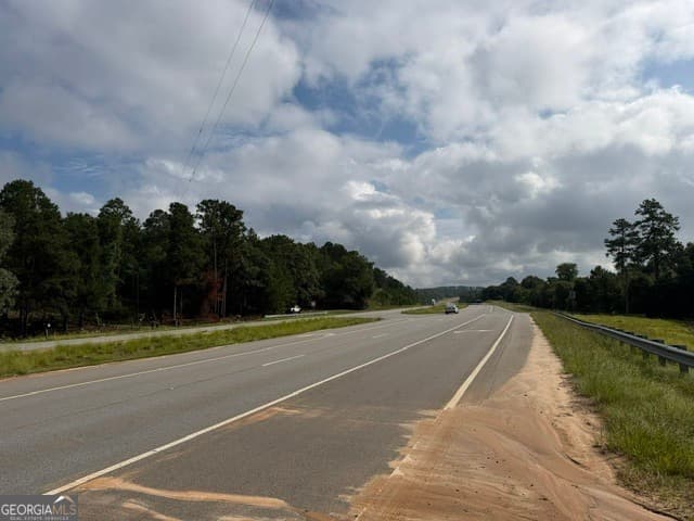 unimproved land for sale at 0 N Us Highway 1, Matthews, GA 30818 — photo 3