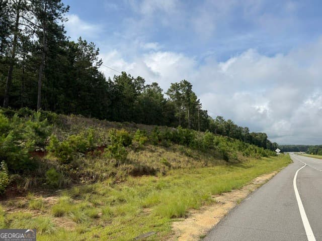 unimproved land for sale at 0 N Us Highway 1, Matthews, GA 30818 — photo 1 of 17