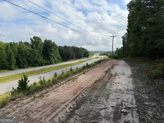 unimproved land for sale at 0 N Us Highway 1, Matthews, GA 30818 — photo 5