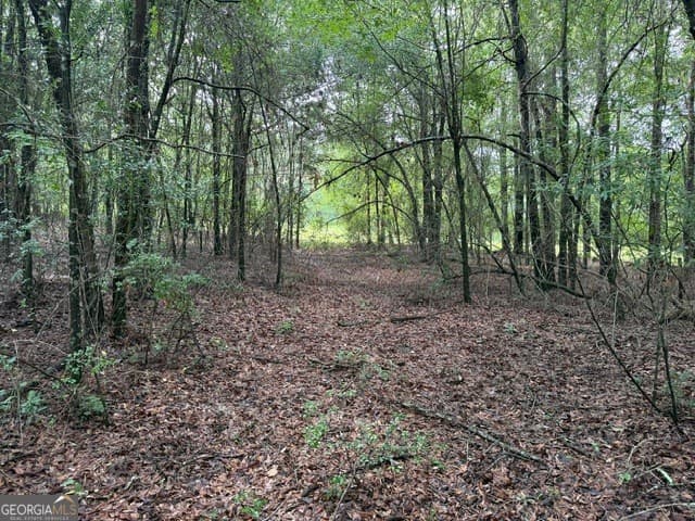 unimproved land for sale at 0 N Us Highway 1, Matthews, GA 30818 — photo 9