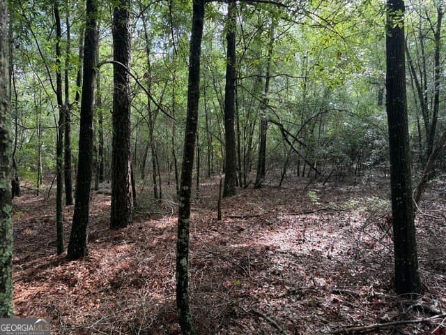 unimproved land for sale at 0 N Us Highway 1, Matthews, GA 30818 — photo 10