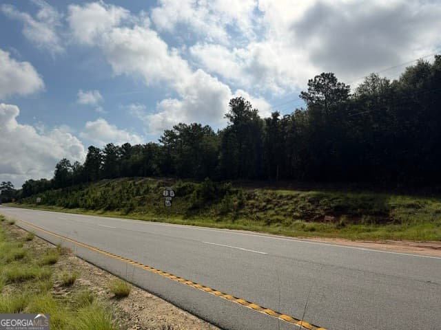 unimproved land for sale at 0 N Us Highway 1, Matthews, GA 30818 — photo 8