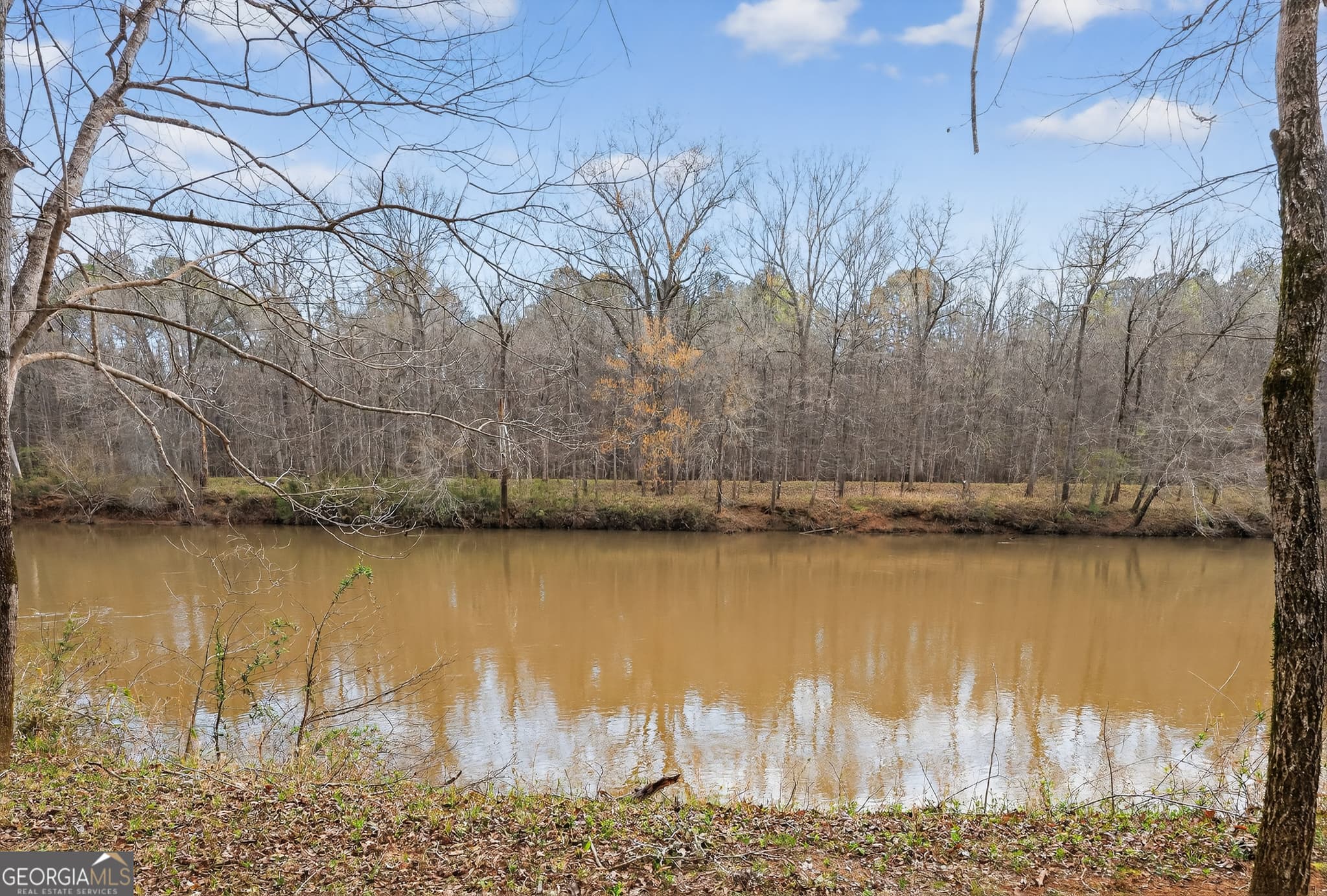 4 bedroom, 3.5 bathroom, 3,356 sq ft single family residence for sale at 6243 Highway 83, Forsyth, GA 31029 — photo 8