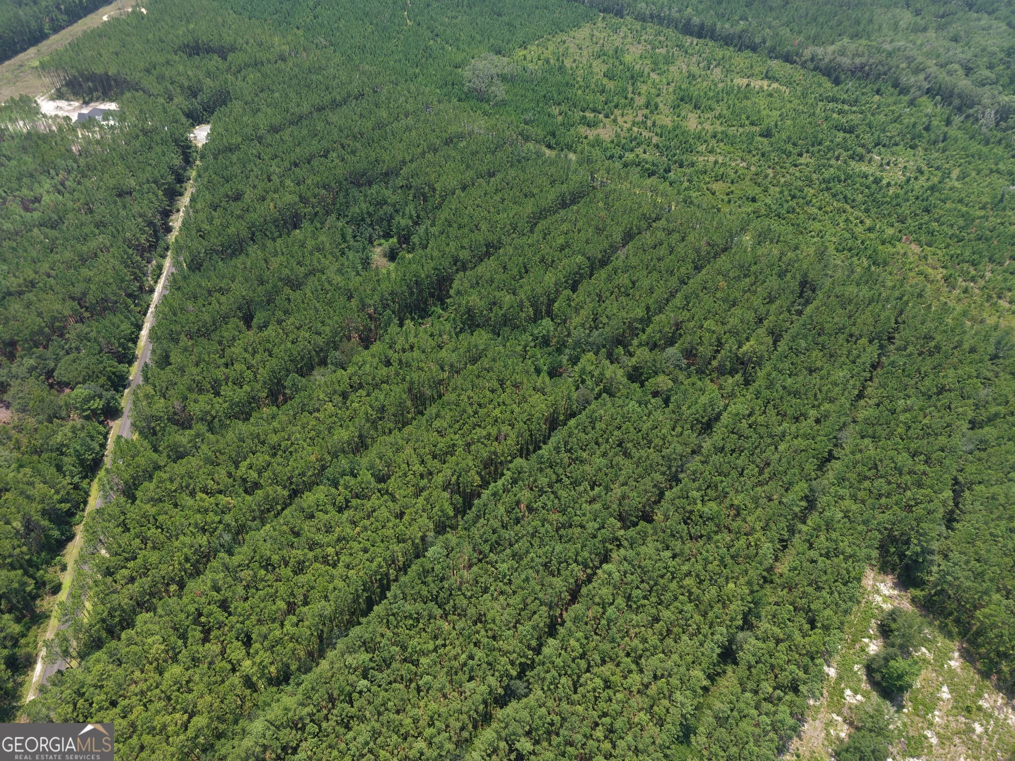 residential lot for sale at LOT 69 Magnolia Plantation, White Oak, GA 31568 — photo 7