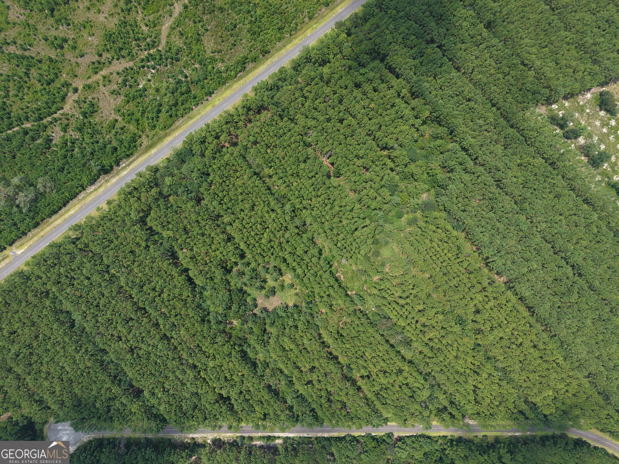 residential lot for sale at LOT 69 Magnolia Plantation, White Oak, GA 31568 — photo 10