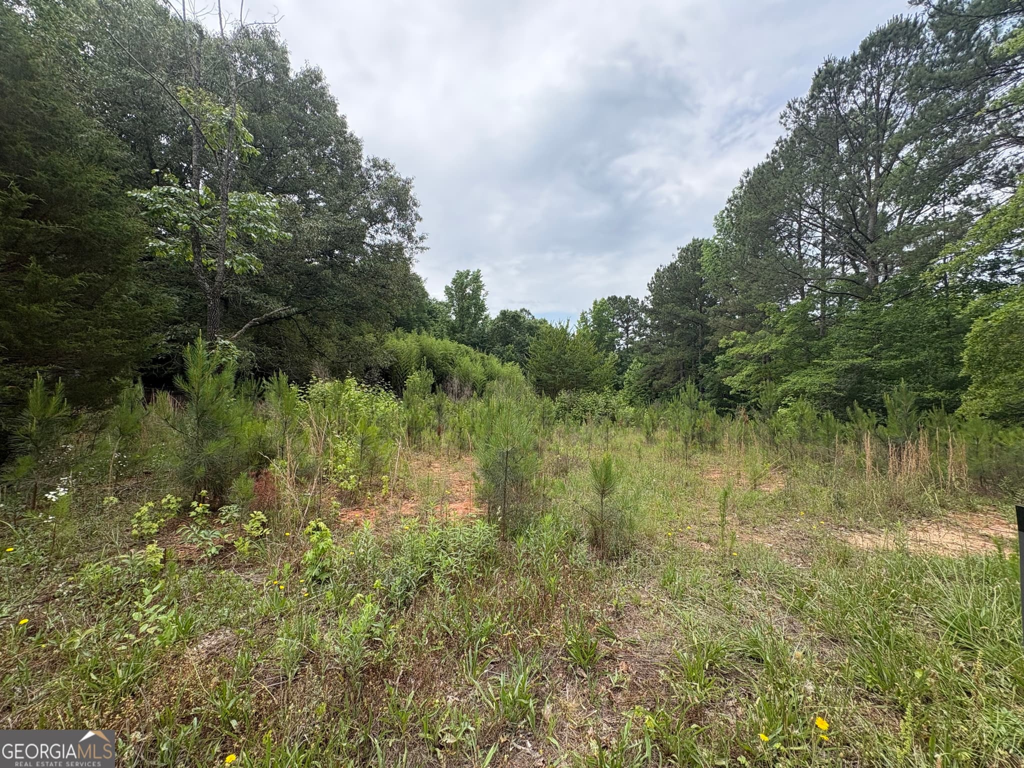 agriculture for sale at 355 N River Circle, Hogansville, GA 30230 — photo 2