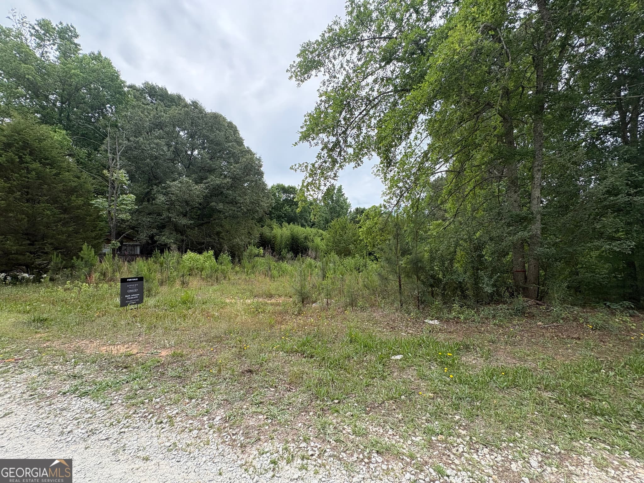 agriculture for sale at 355 N River Circle, Hogansville, GA 30230 — photo 3
