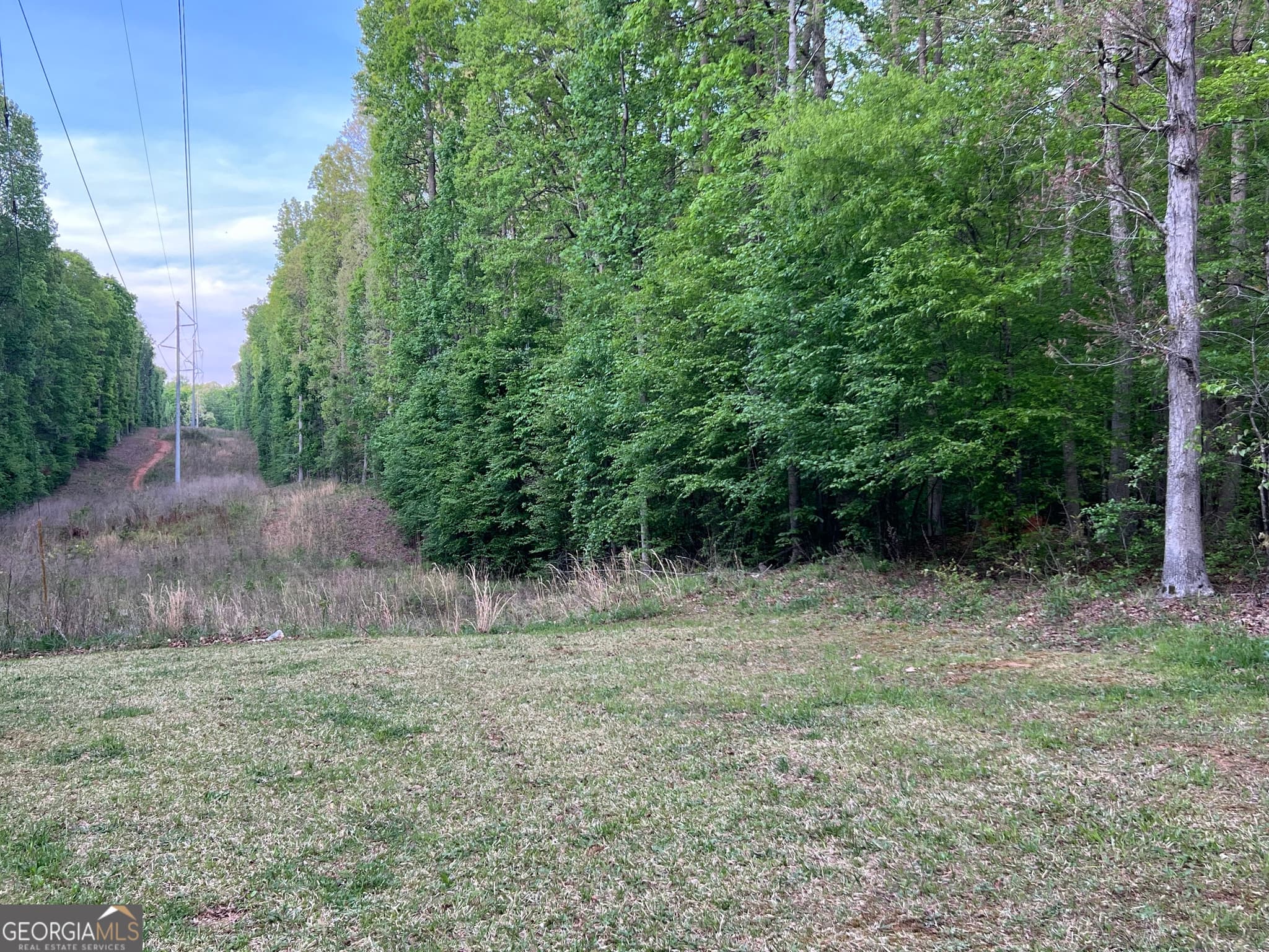 unimproved land for sale at 0 Goldfinch Drive, Covington, GA 30016 — photo 6