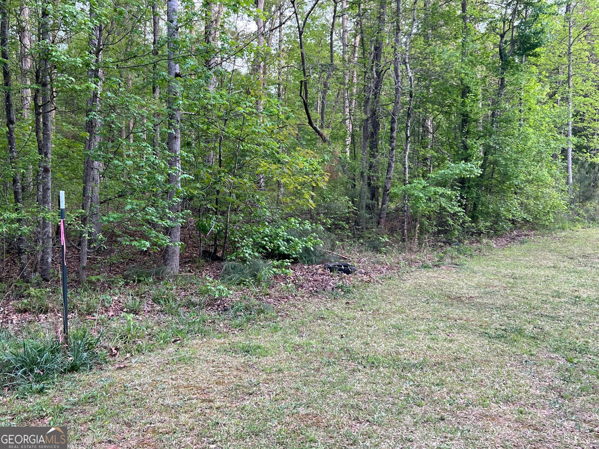 unimproved land for sale at 0 Goldfinch Drive, Covington, GA 30016 — photo 7