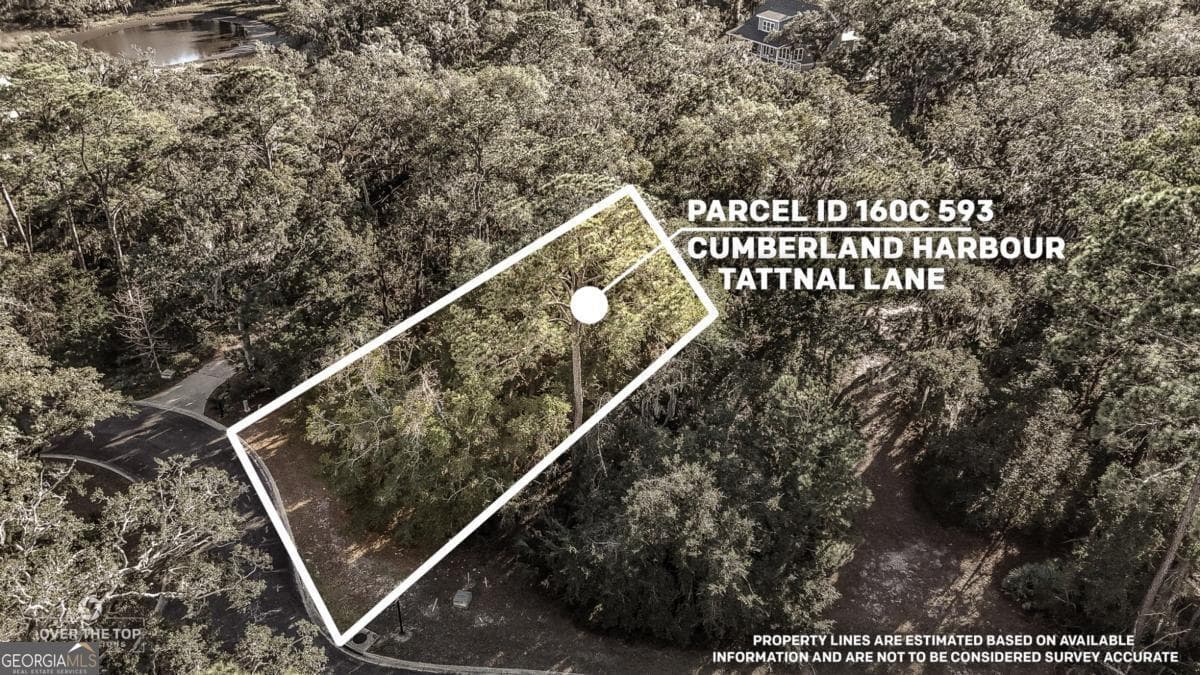 residential lot for sale at V/L 593 Tattnal Lane, St. Marys, GA 31558 — photo 2