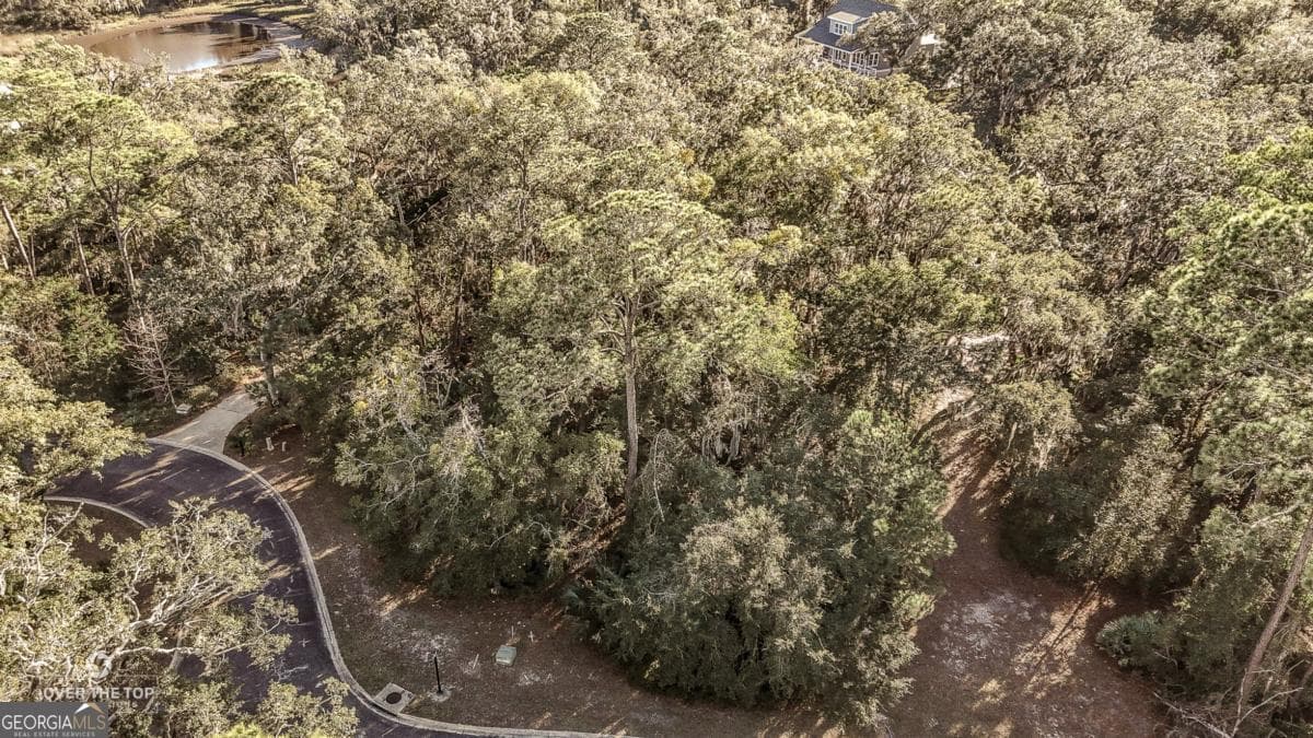 residential lot for sale at V/L 593 Tattnal Lane, St. Marys, GA 31558 — photo 3