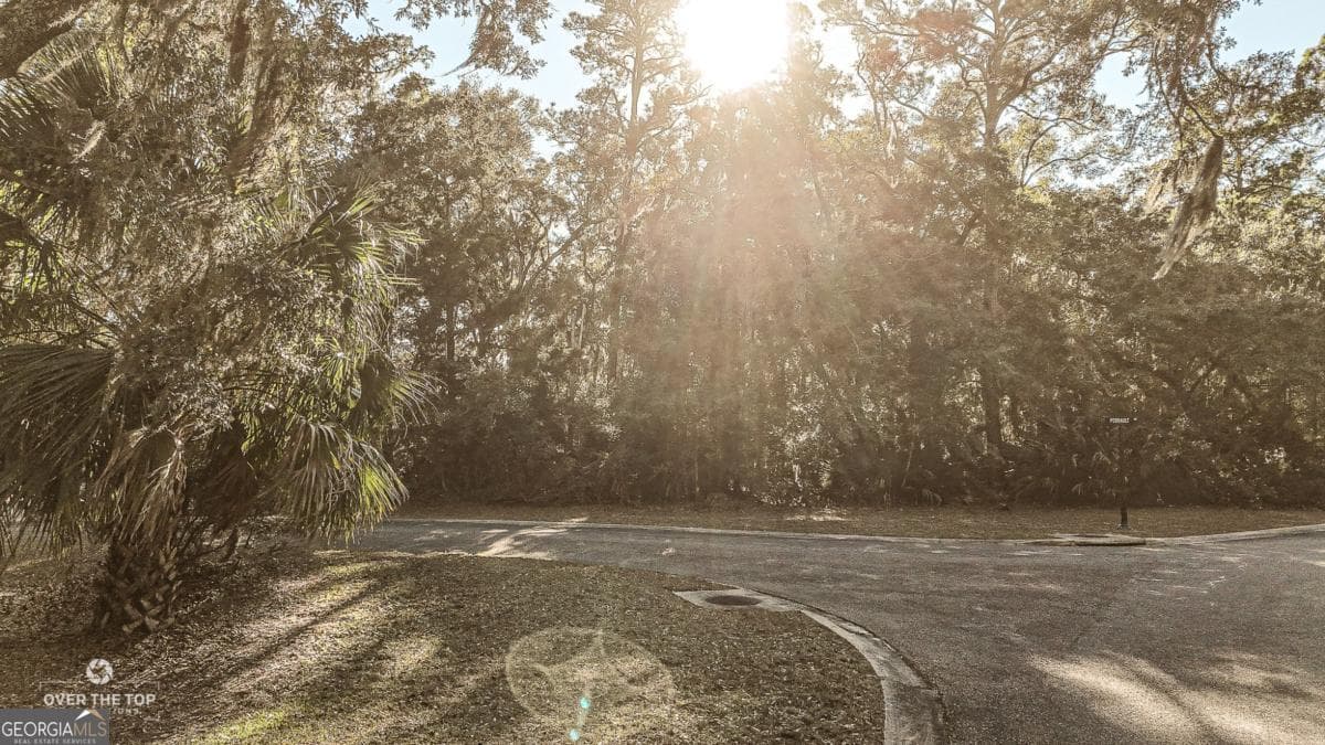 residential lot for sale at V/L 593 Tattnal Lane, St. Marys, GA 31558