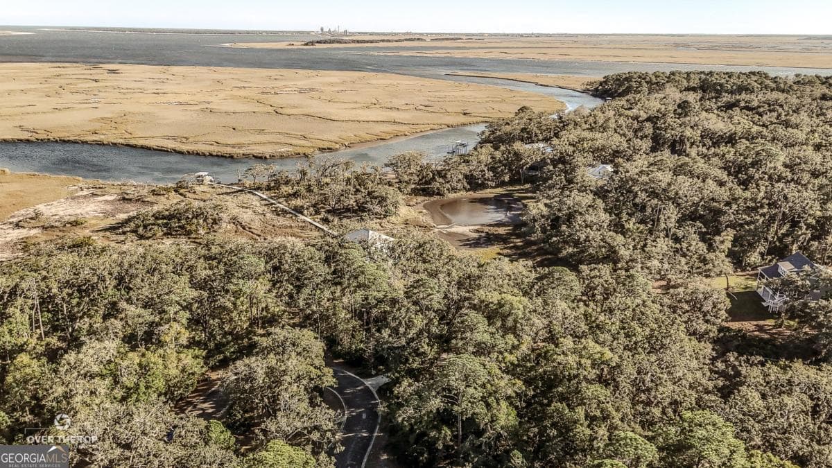 residential lot for sale at V/L 593 Tattnal Lane, St. Marys, GA 31558 — photo 5