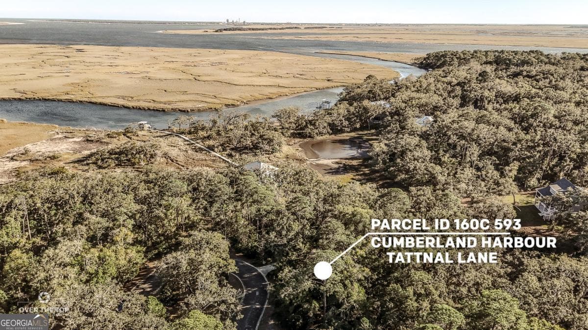 residential lot for sale at V/L 593 Tattnal Lane, St. Marys, GA 31558 — photo 4