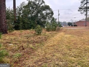 unimproved land for sale at .22 Alice Street, Waycross, GA 31501 — photo 2