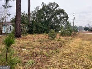 unimproved land for sale at .22 Alice Street, Waycross, GA 31501 — photo 3
