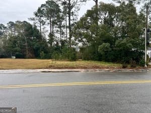 unimproved land for sale at .22 Alice Street, Waycross, GA 31501 — photo 5