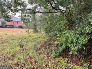 unimproved land for sale at .22 Alice Street, Waycross, GA 31501 — photo 4