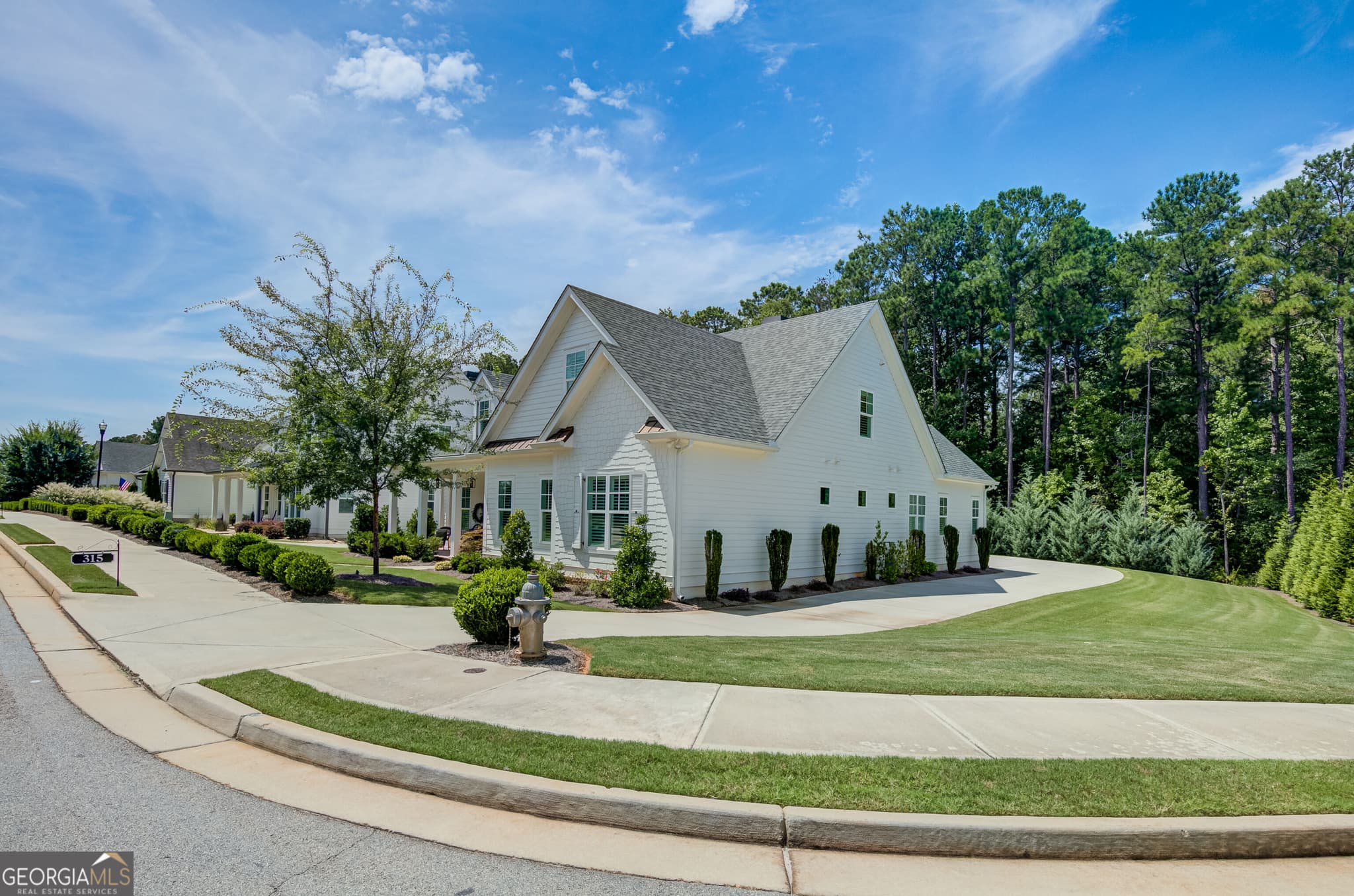 4 bedroom, 4.5 bathroom, 3,357 sq ft single family residence for sale at 315 Traditions Way, Senoia, GA 30276 — photo 2