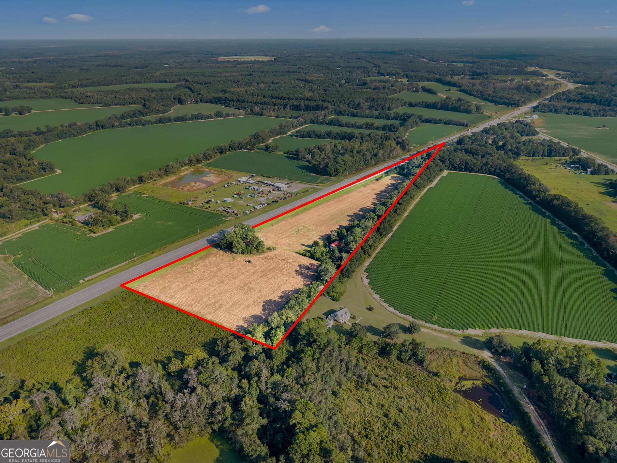 agriculture for sale at 8291 GA Highway 67, Brooklet, GA 30415 — photo 2